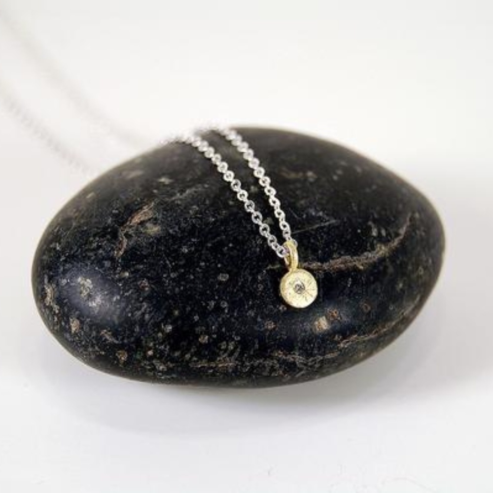 Sarah Swell Jewelry Mini Treasure Coin Necklace